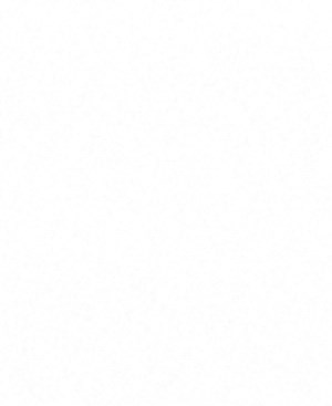 A2